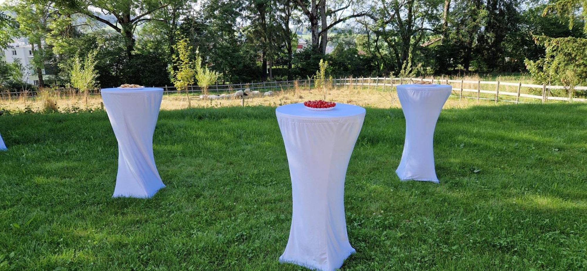 La Ferme Des Aretes Bed & Breakfast La Chaux De Fonds Bagian luar foto